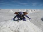 uyuni2.JPG